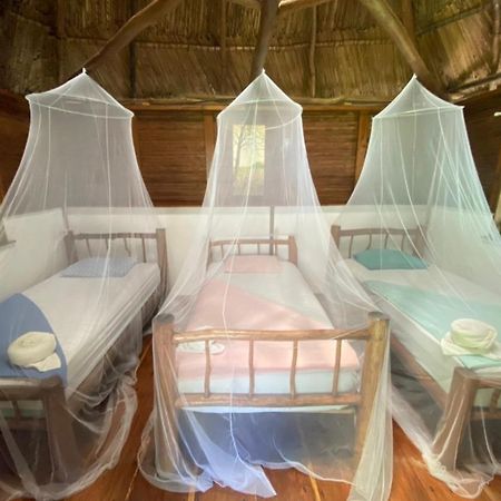 Lívingston Casa De La Iguanaホステル エクステリア 写真